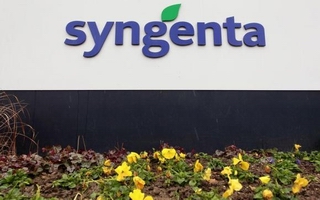 Syngenta