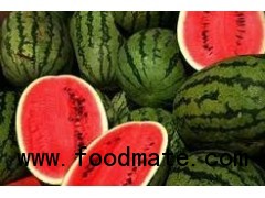 Water Melon