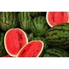 Water Melon