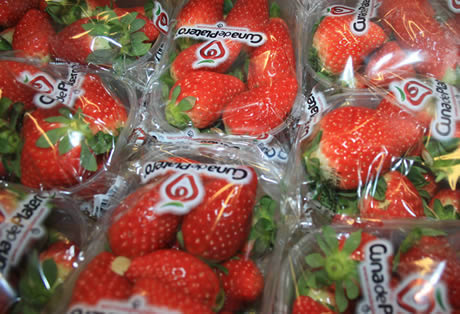 strawberry