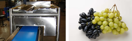 grape de-buncher