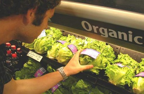 organic food