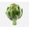 ISIS Organic Artichokes