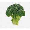 ISIS Organic Broccoli