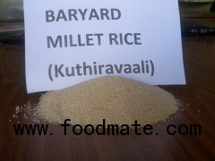 barnyard millet rice