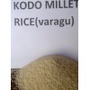 kodo millet rice