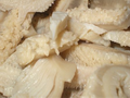 Rancho Feeding Corporation Tripe Recalled for Lack of Inspection