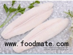 Frozen Pangasius fillets