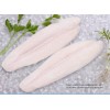 Frozen Pangasius fillets