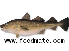 BALTIC AND ATLANTIC COD