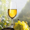 VITICULTURE & VINICULTURE 2014