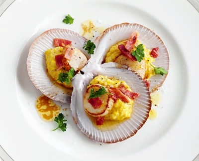 scallops