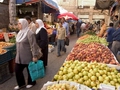 Jordan's exports of fruit and vegetables to reach 800 tonnes daily