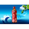 2014 PET Bottle Wild Jujube drink