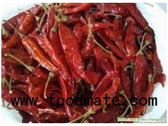 Dry Red Chiles