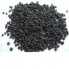 Black Pepper