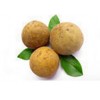 Sapodilla