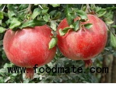 Pomegranate