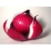 Red Onion