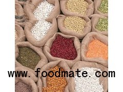 indian pulses