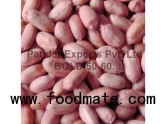 Groundnut