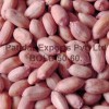 Groundnut