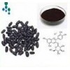 black rice extract