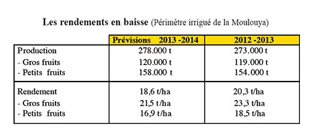 citrus fruit exports