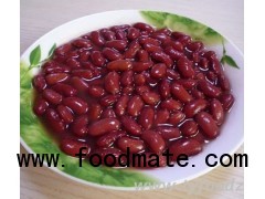 Dark Red Kidney Beans 400g