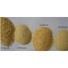 dried garlic granule