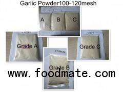 dried garlic powder