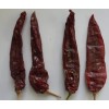 dried red chili