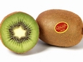 Prim'land continues growth, largest French kiwi producer