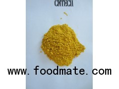 dried pumpkin powder