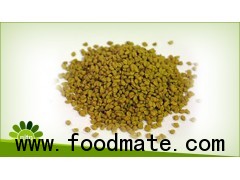 fenugreek