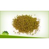 fenugreek