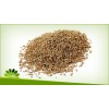 ajwain spices