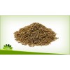 cumin spices