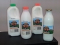 Scenic Rim 4REAL milk  recalls Full Cream Milk products
