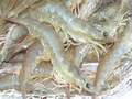 Vietnam seafood exports exceed 2013 target