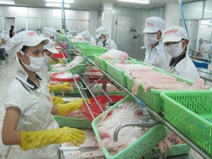 catfish exports