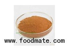 Ginkgo Leaf Extract