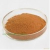 Ginkgo Leaf Extract