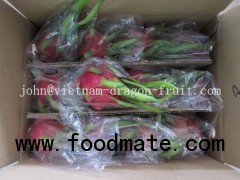 Fresh Dragon Fruit