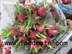 Fresh Dragon Fruit