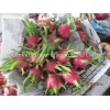 Fresh Dragon Fruit