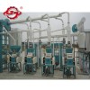 30T/D maize milling equipment with price for sale
