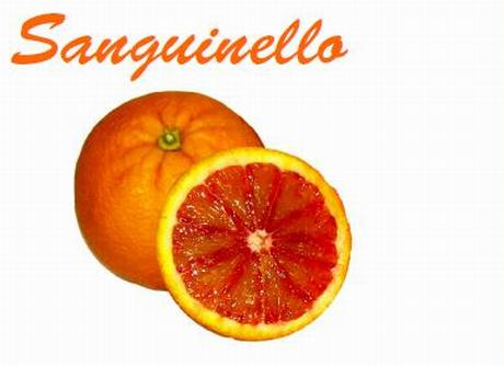 Sanguinello oranges