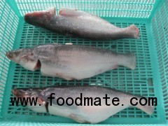 Sell: Frozen pangasius whole head on & gutted