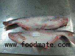Sell: Frozen pangasius whole round & cleaned
